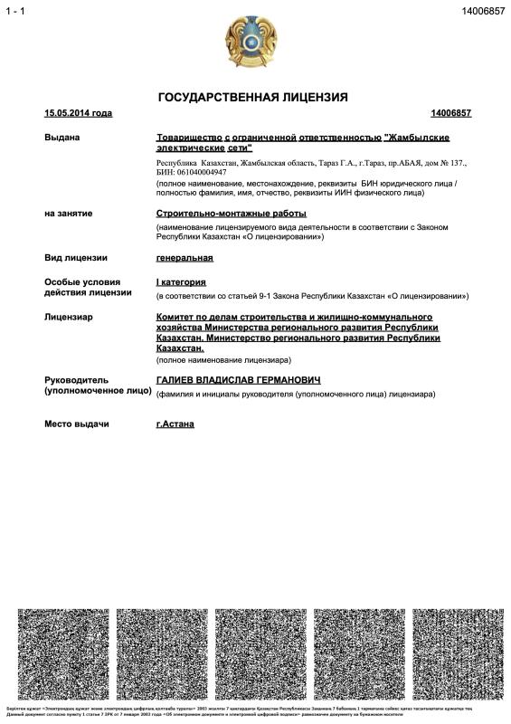 Государственная лицензия 1